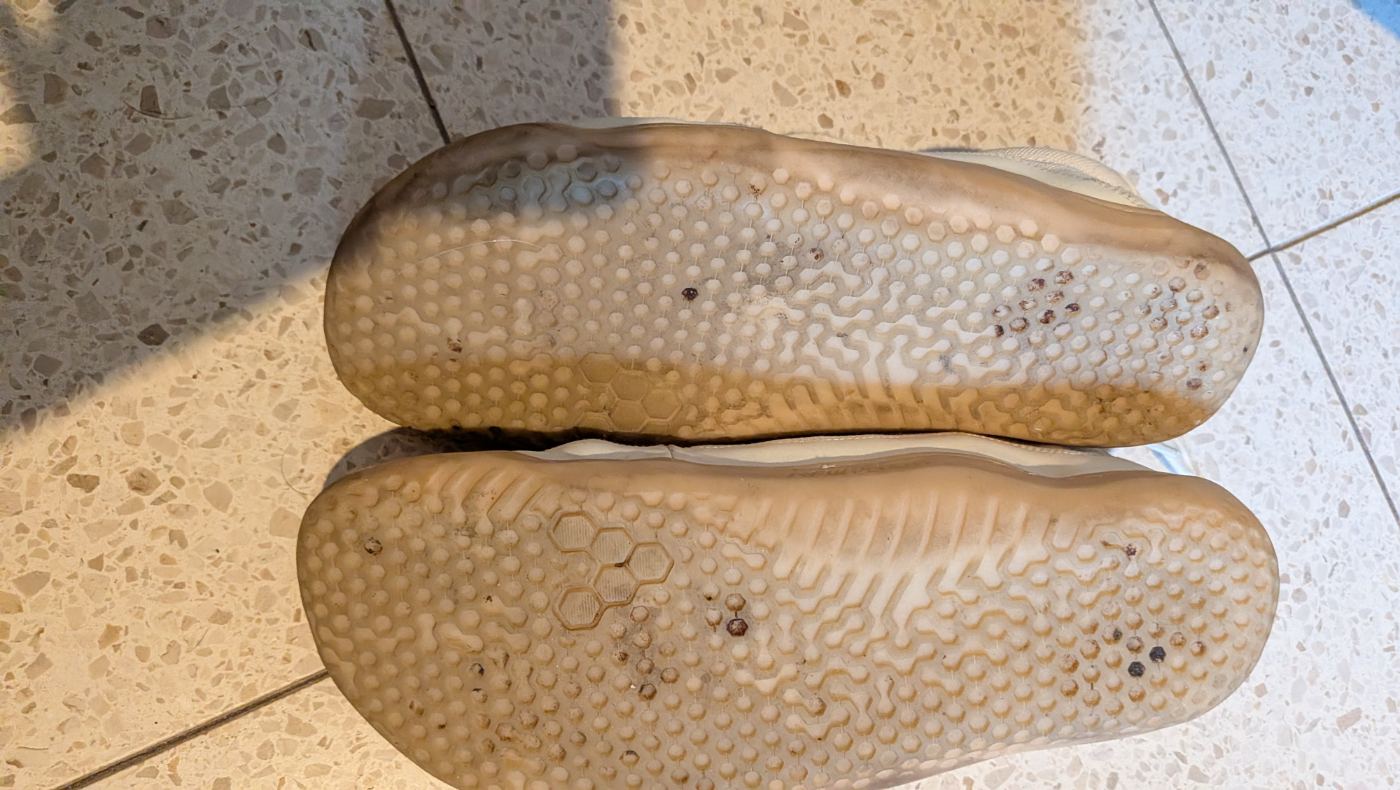 נעלי Vivobarefoot Gobi i sneaker canvas מידה 41 יד שנייה